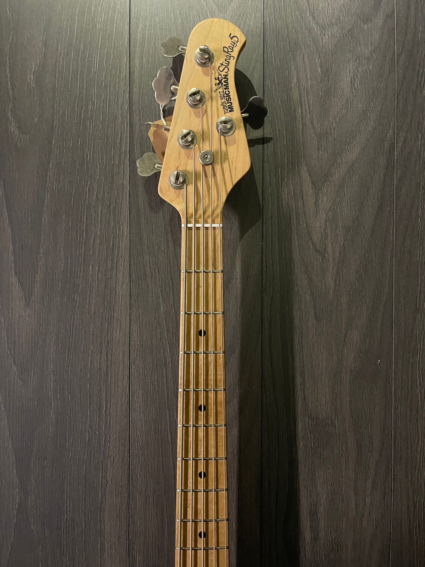 Ernie Ball MusicMan StingRay 5