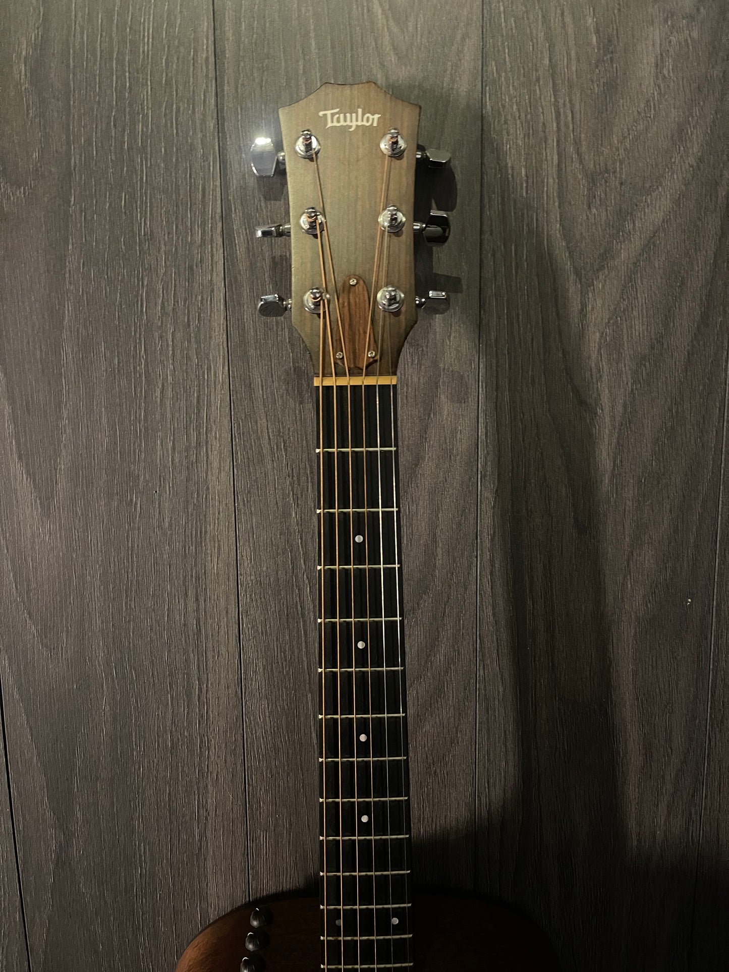 Taylor 322 E Electro Acoustic