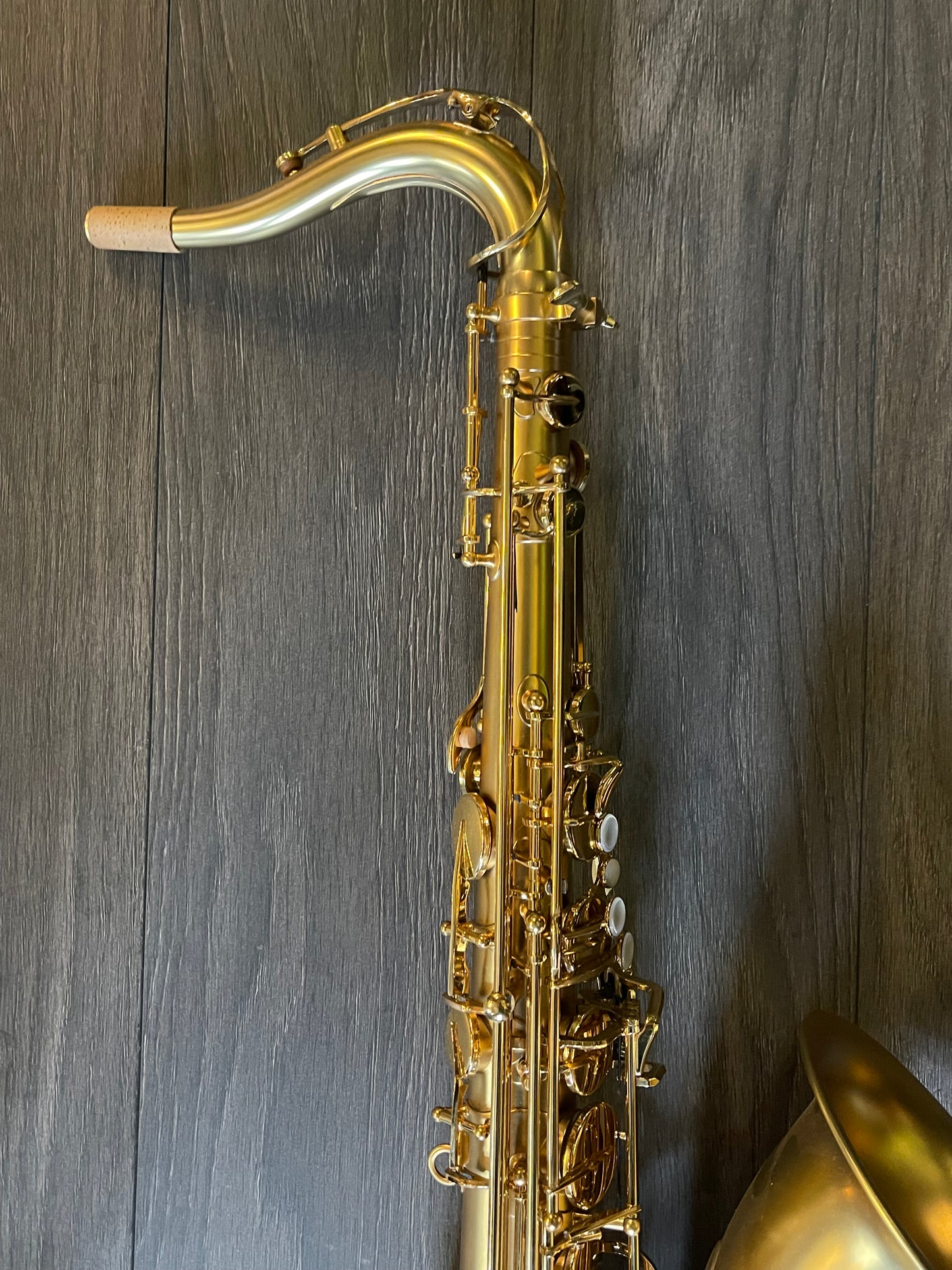 Trevor James EVO Tenor Saxophone, Gold Frost