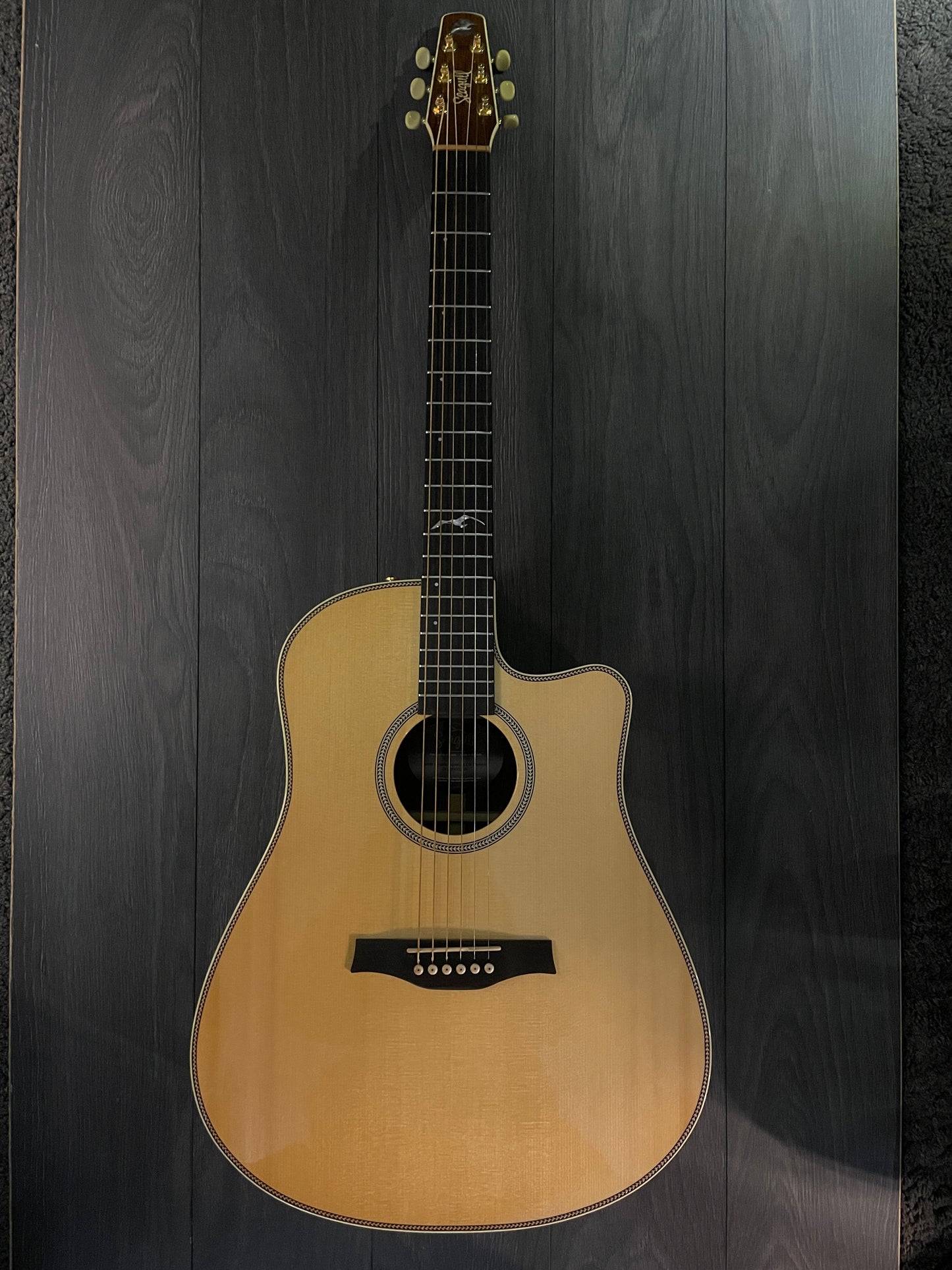Seagull Artist Peppino Signature CN Element – Pre-Owned, Perfect Condition