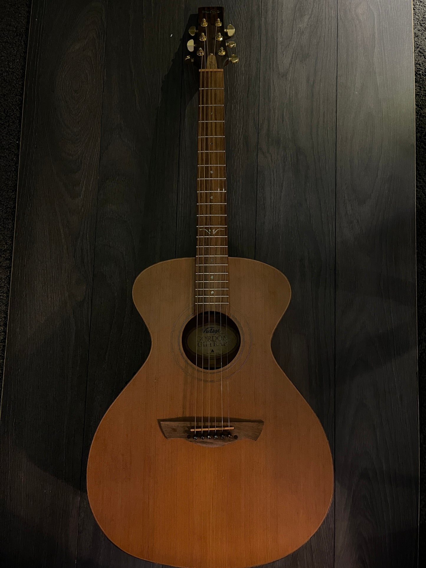 Vintage VE2000GG – Pre-Owned, Perfect Condition