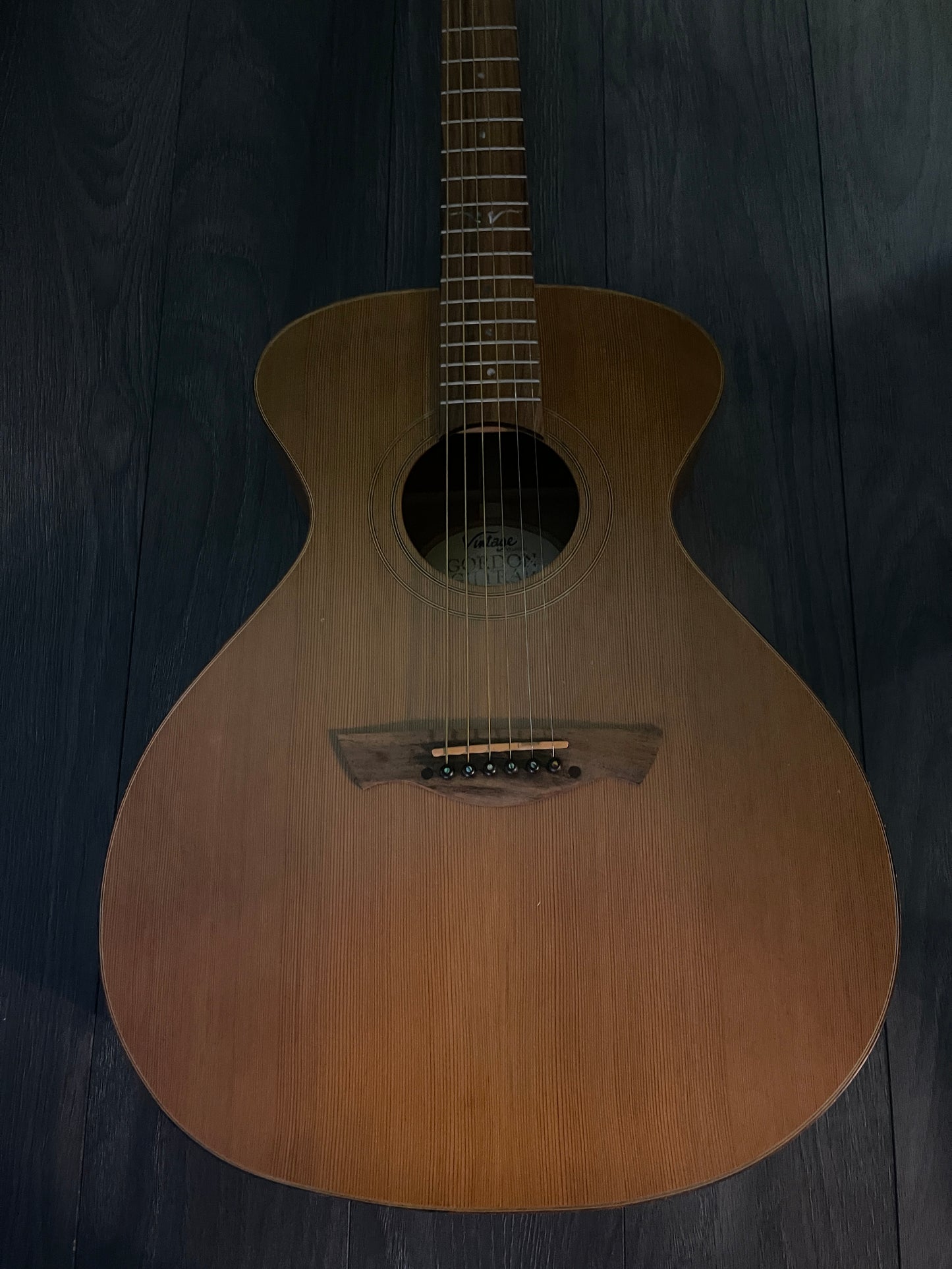 Vintage VE2000GG – Pre-Owned, Perfect Condition