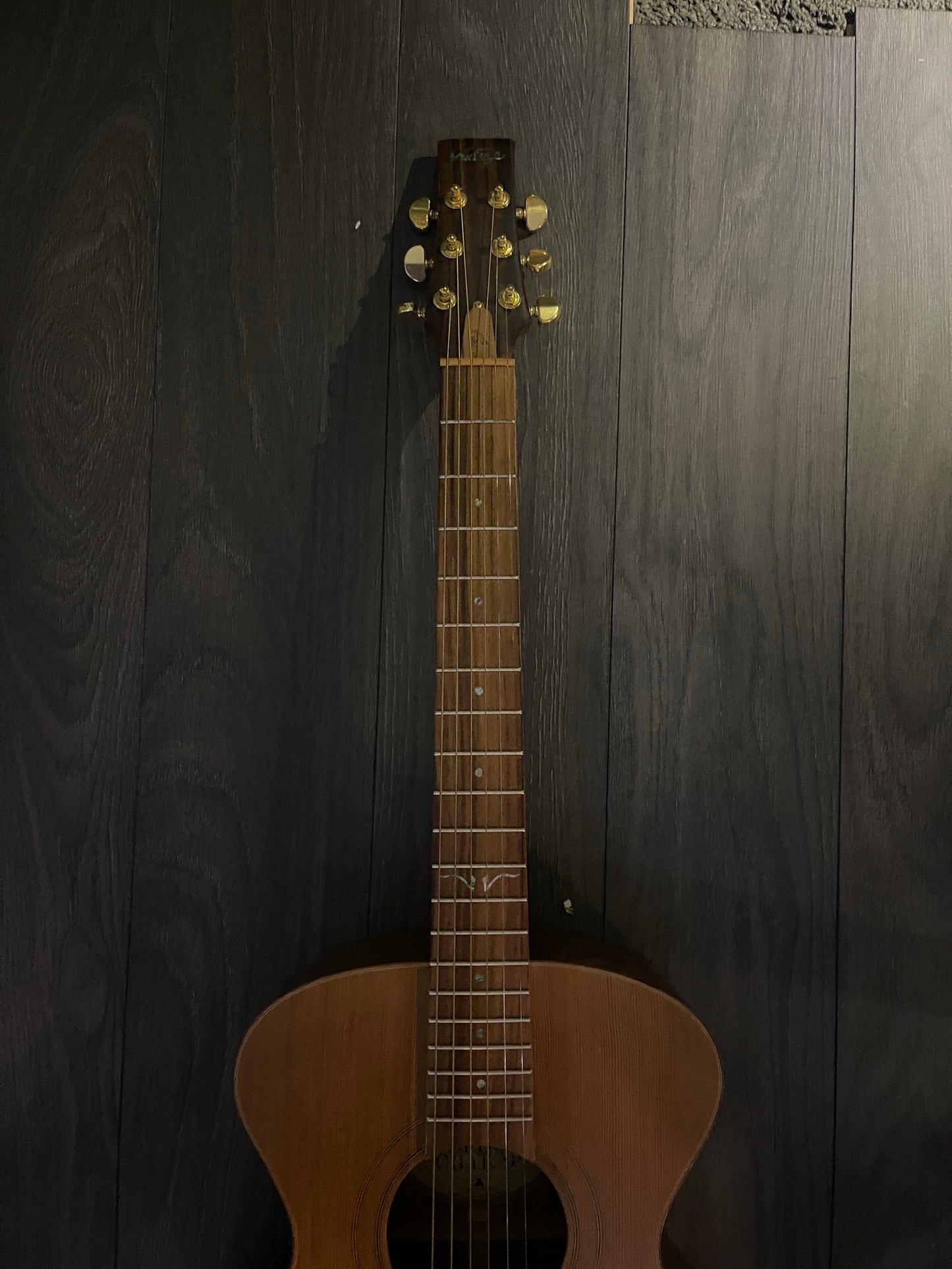 Vintage VE2000GG – Pre-Owned, Perfect Condition
