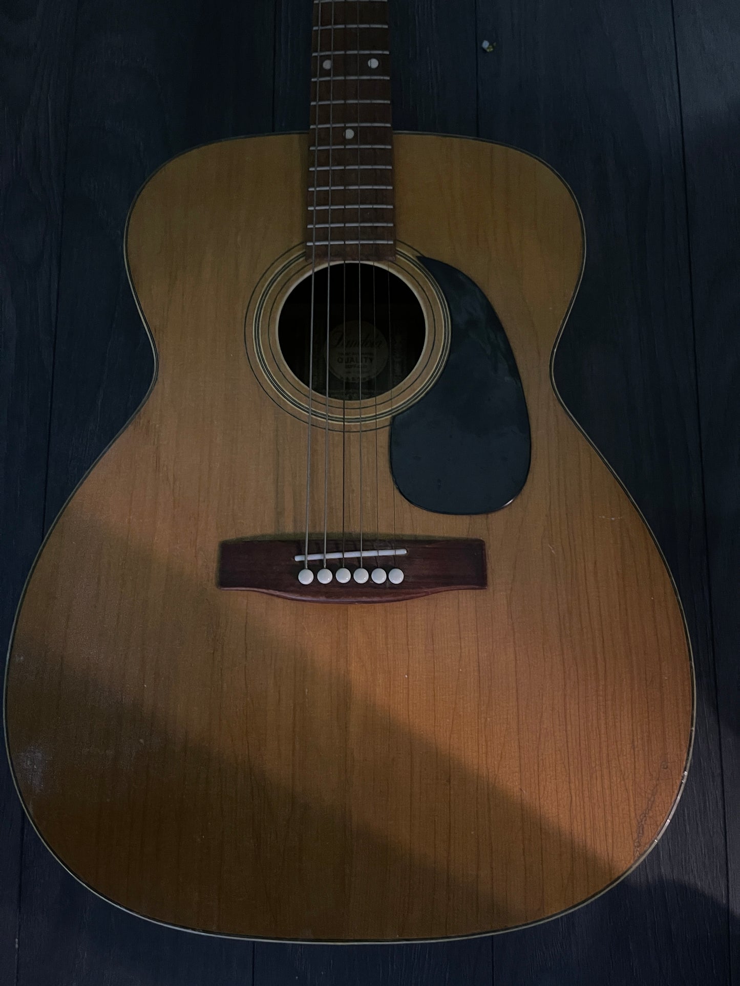 Landola Buffalo 1960 – Pre-Owned, Perfect Condition