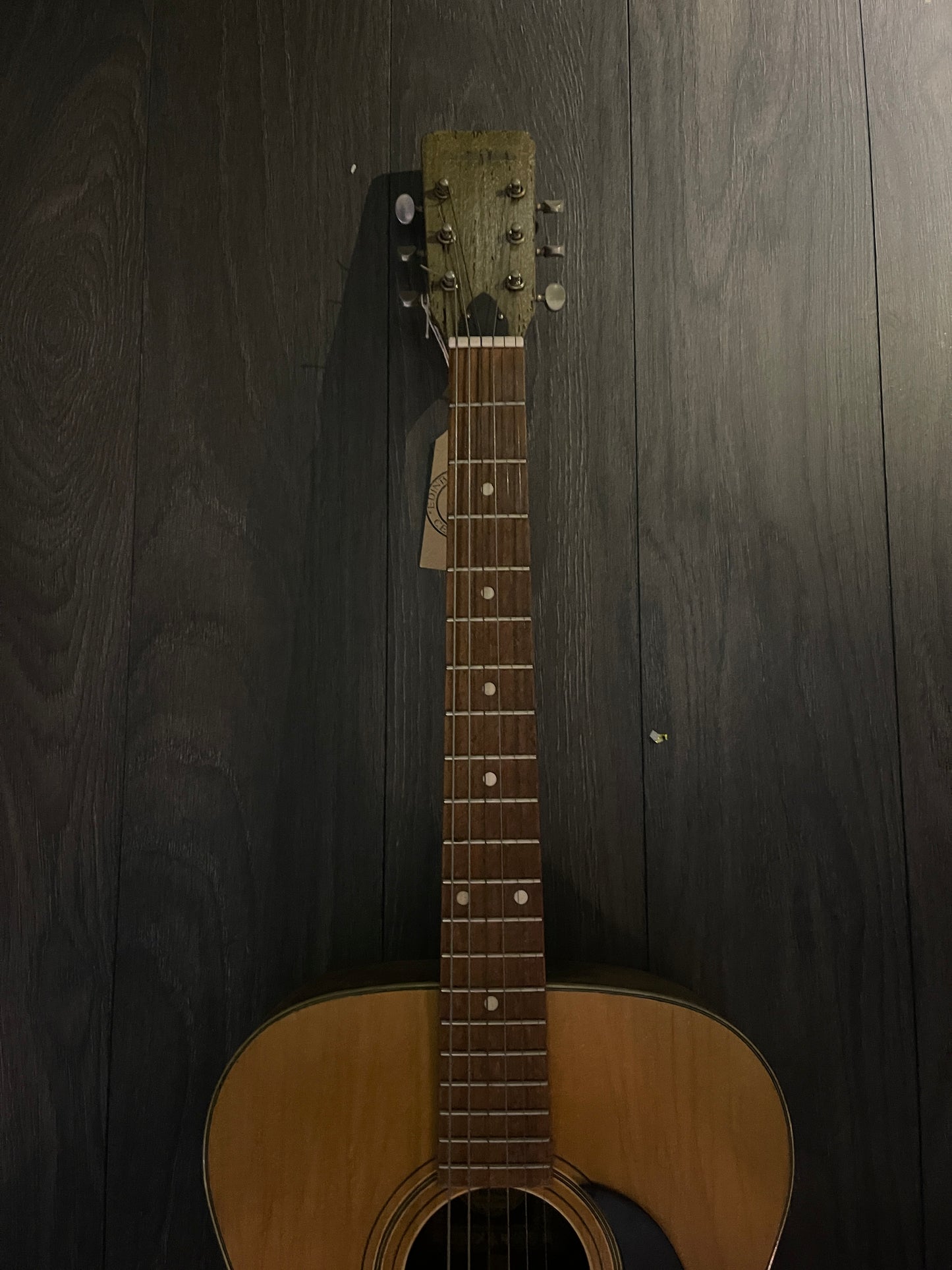 Landola Buffalo 1960 – Pre-Owned, Perfect Condition