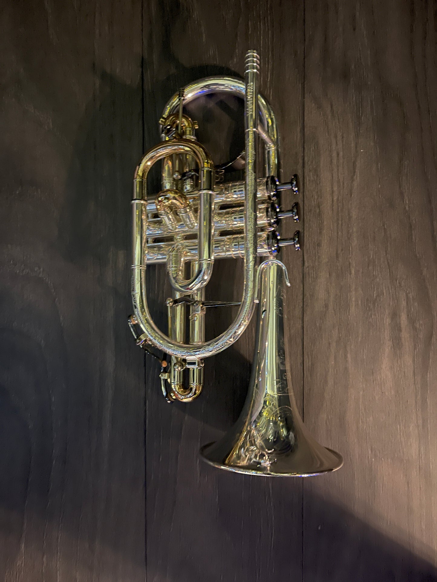 Geneva Cardinal Bb Cornet