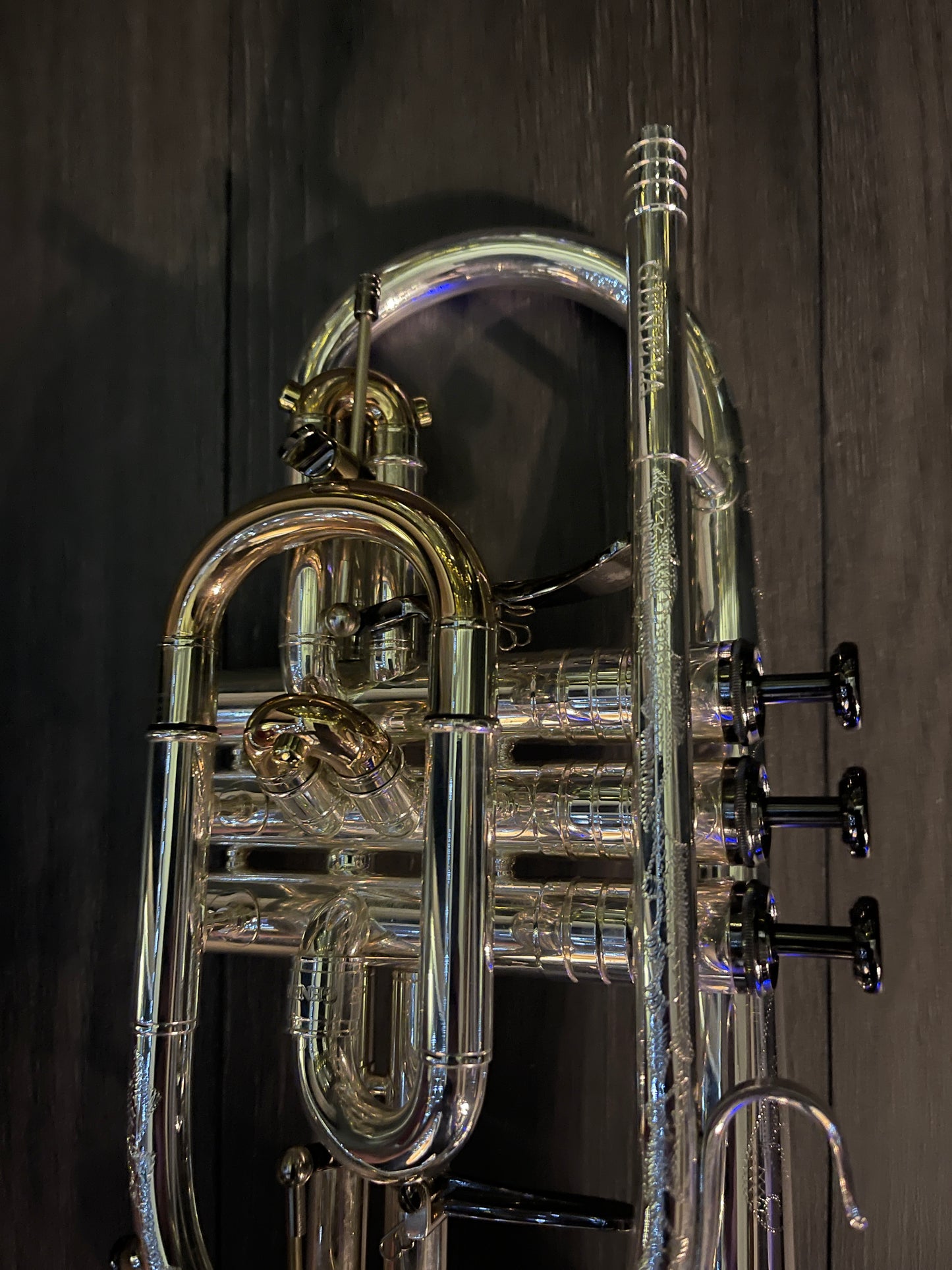 Geneva Cardinal Bb Cornet
