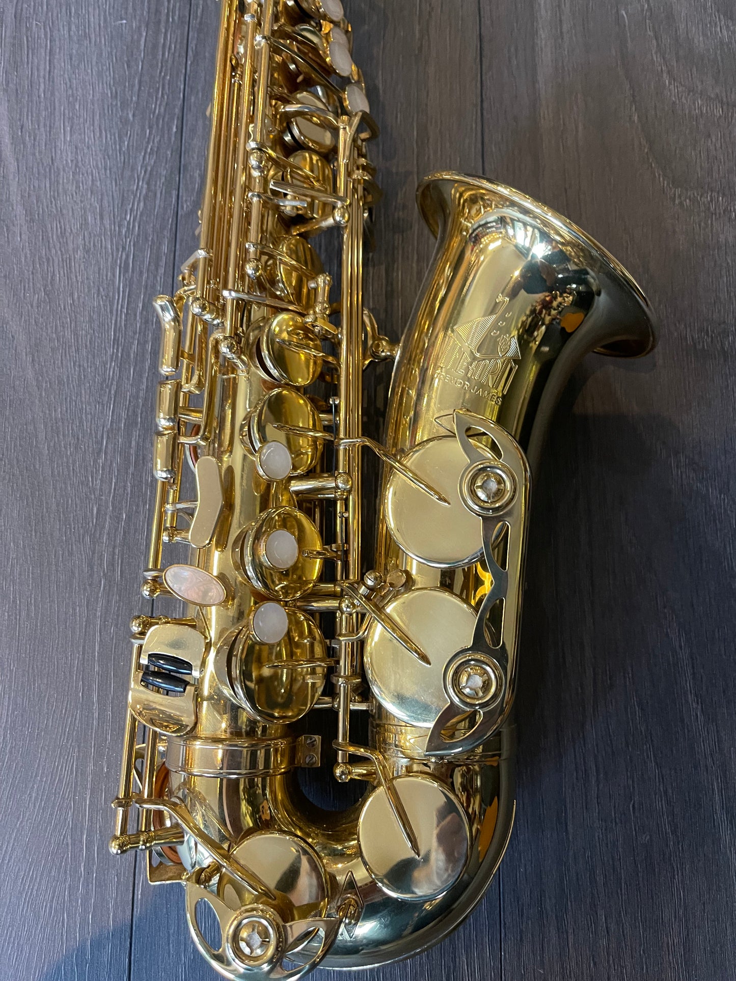Trevor James 'The Horn' Alto Saxophone, Gold Lacquer