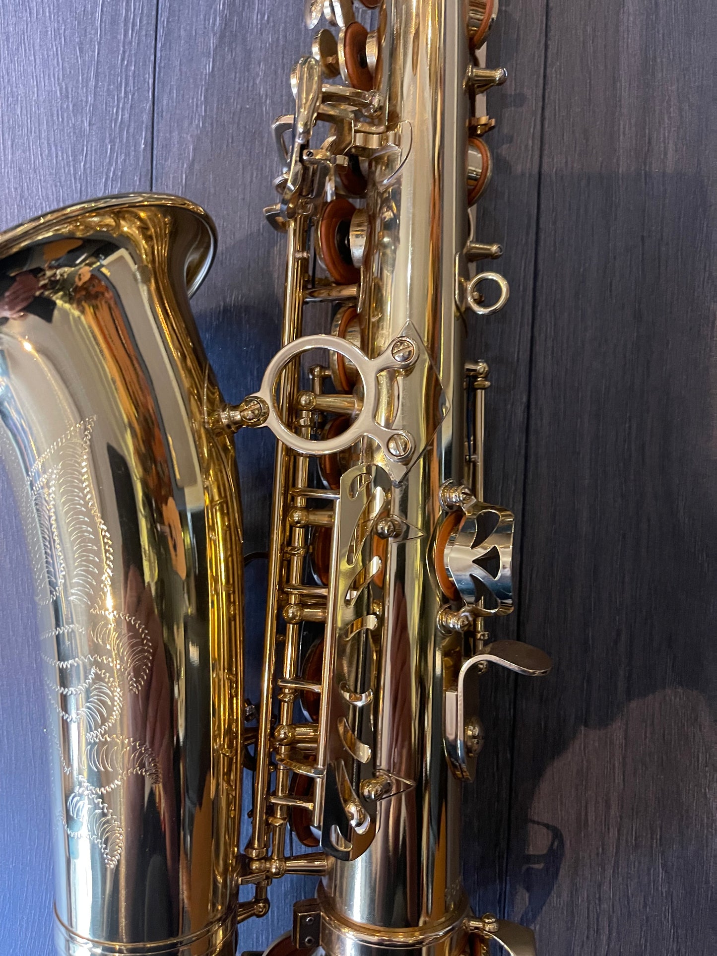 Trevor James 'The Horn' Alto Saxophone, Gold Lacquer