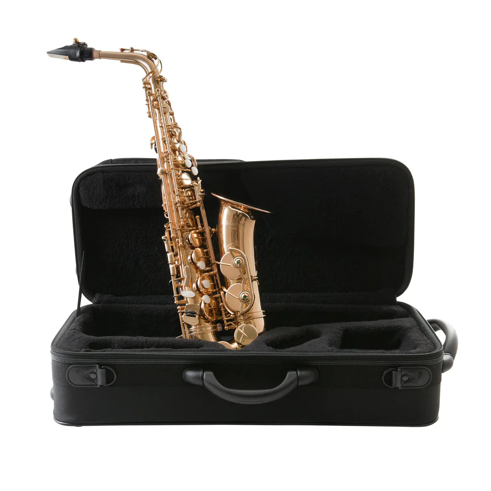 Leblanc LAS511 Avant alto saxophone, gold lacquer, photo 6