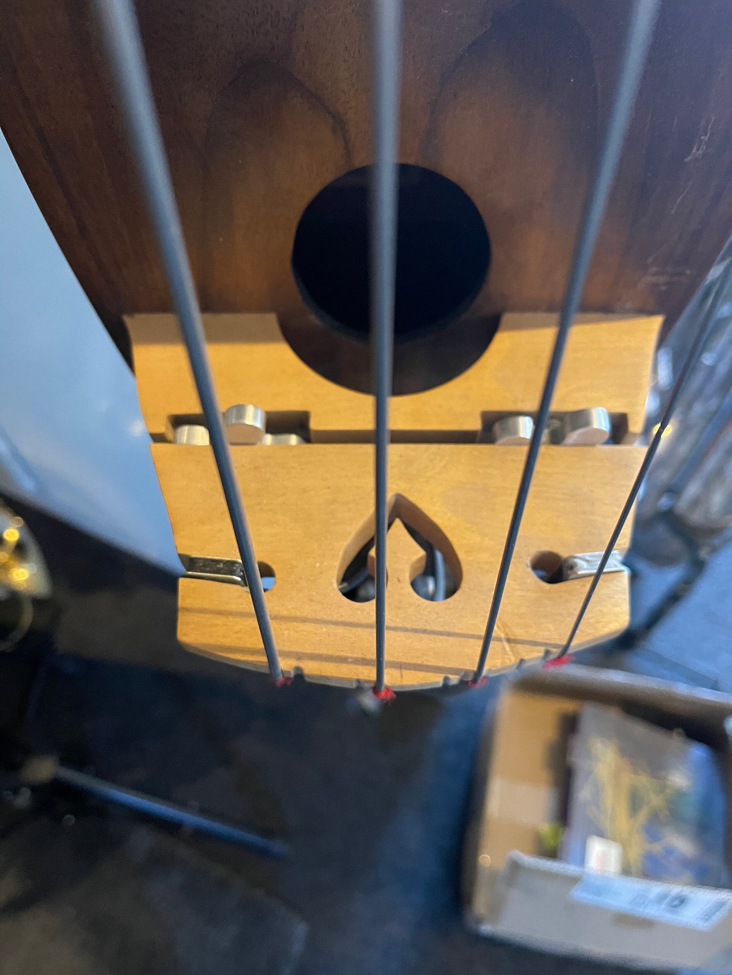 Oakwood Electric Upright Bass (pre-owned)