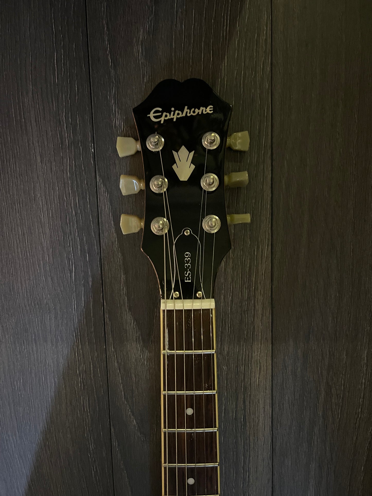 Epiphone 339 Pro Coil Taps