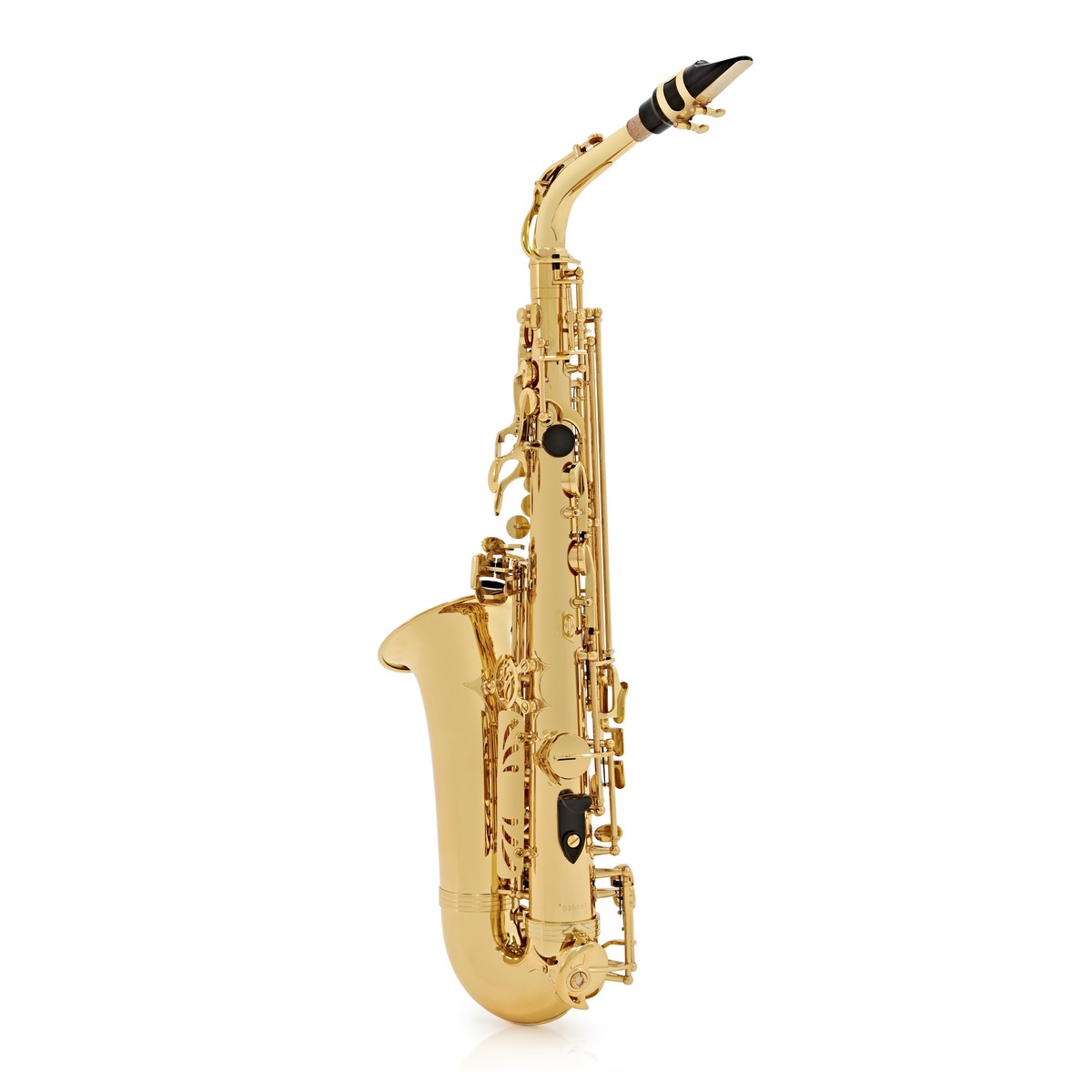 Trevor James 'The Horn' Alto Saxophone, Gold Lacquer