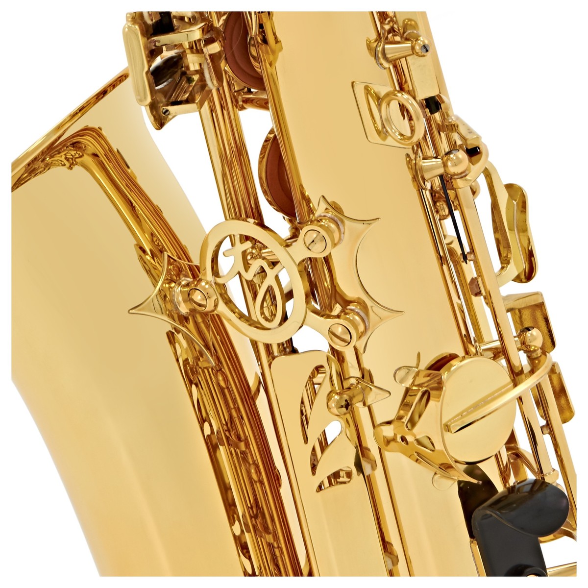 Trevor James 'The Horn' Alto Saxophone, Gold Lacquer