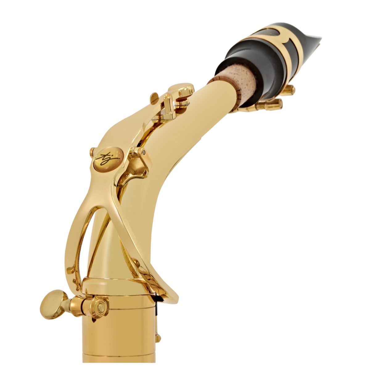 Trevor James 'The Horn' Alto Saxophone, Gold Lacquer