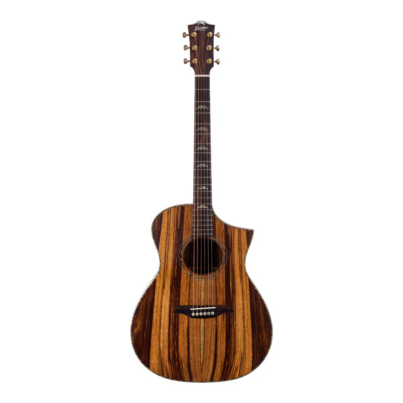 Bromo Rocky Mountain Electro Acoustic Guitar Hillside Cutaway