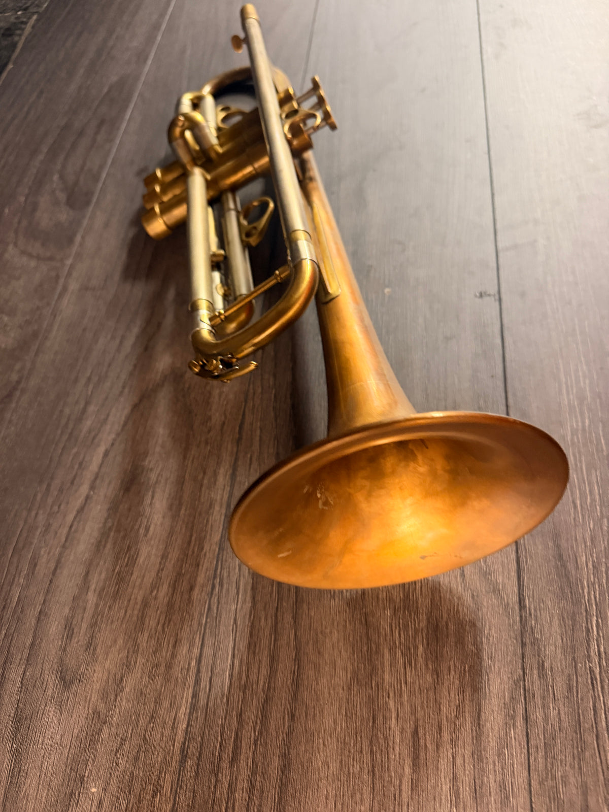 Eclipse/ taylor/ courtois trumpet