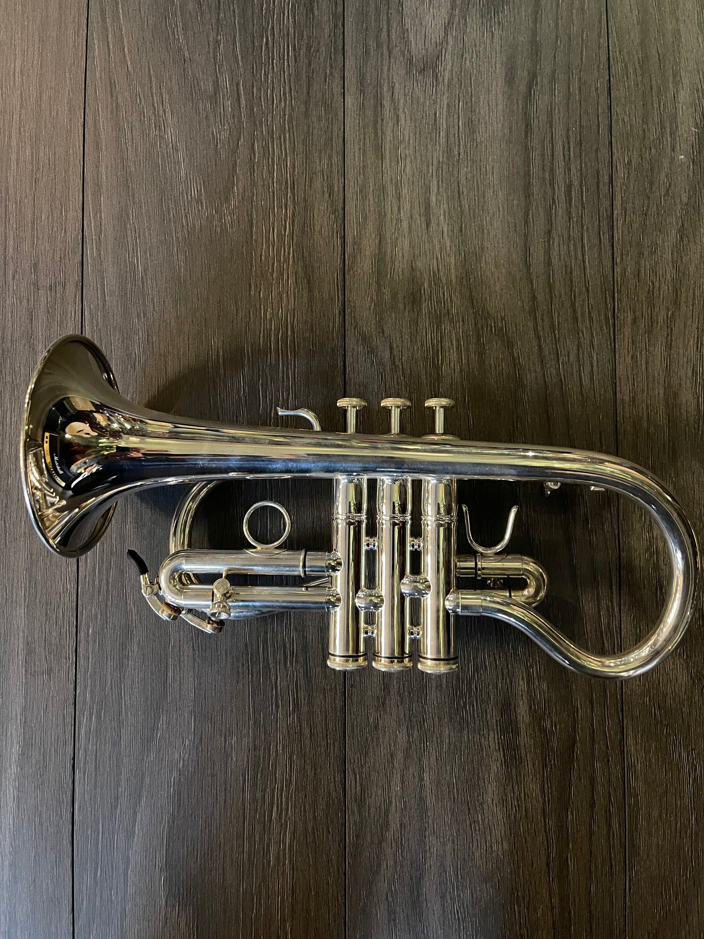 Eclipse Soprano Eb Cornet