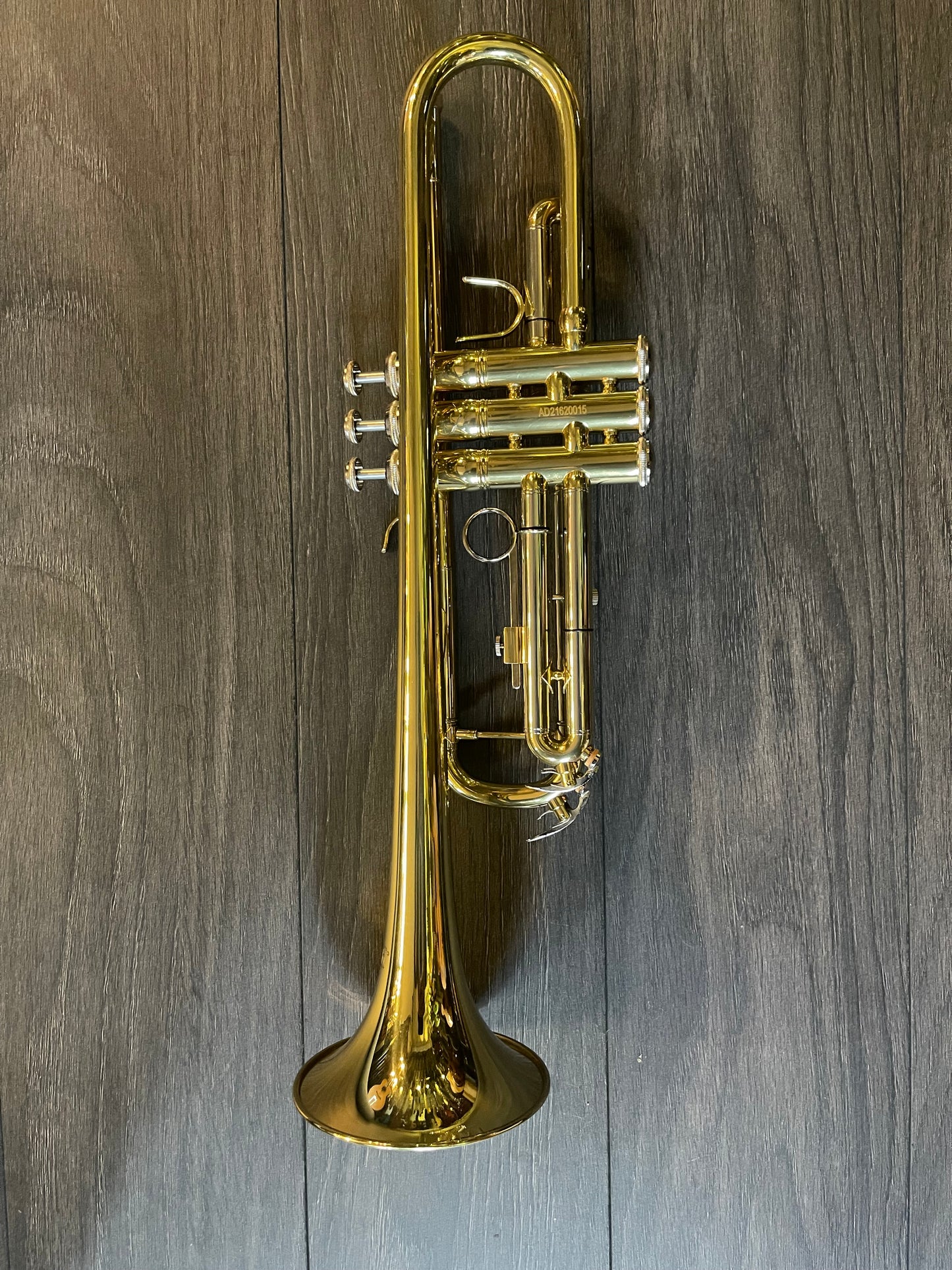 Bach TR560 Bb trumpet outfit