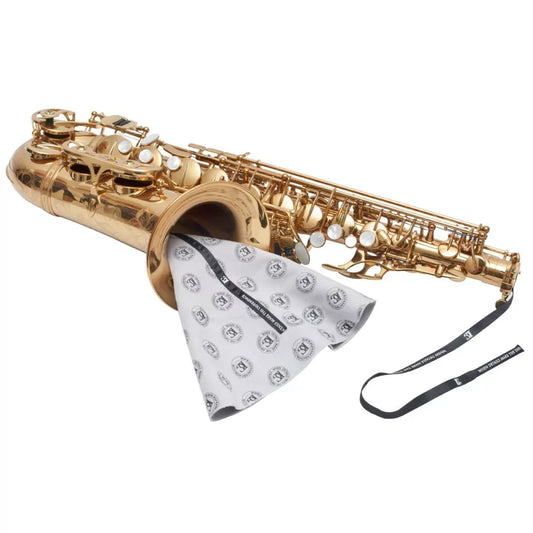 BG France Instrument Cleaning Swab
