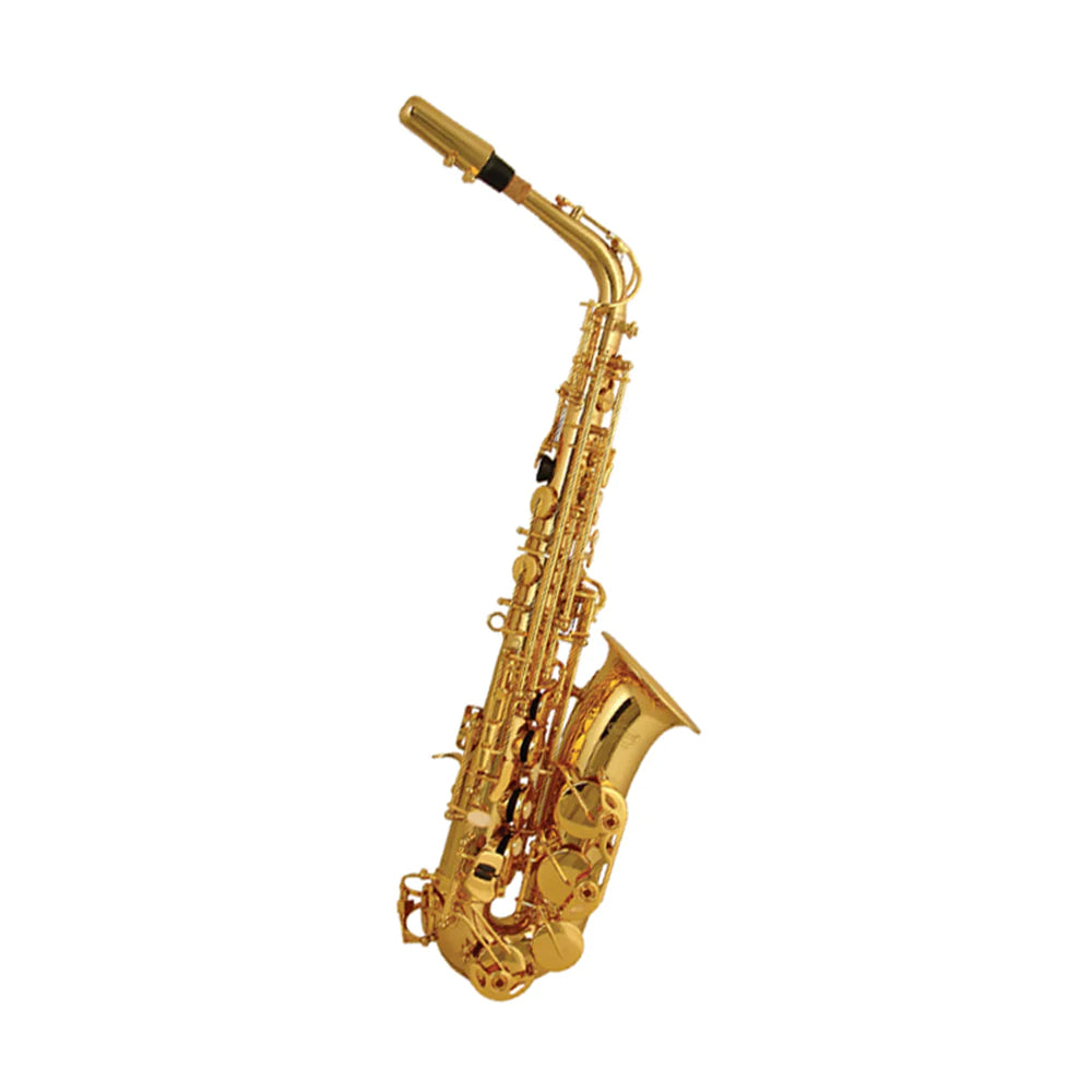 Elkhart 100 Alto Saxophone