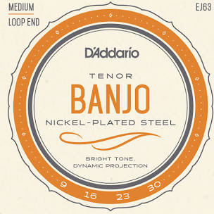 D'ADDARIO EJ63 Tenor Banjo, Nickel Plated Steel Medium String Set