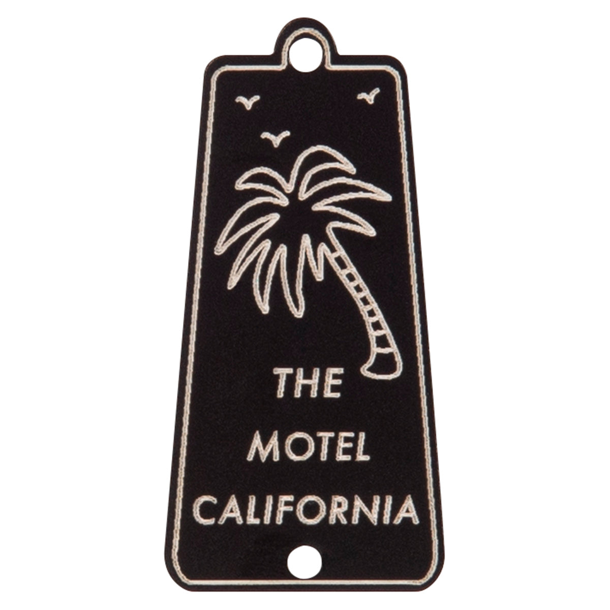 Joe Doe Tribute Truss Rod Cover ~ Aged Black ~ Motel California